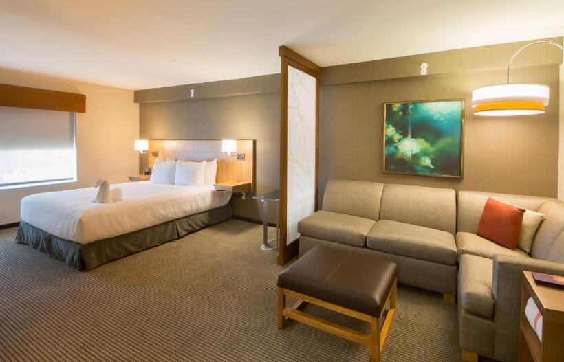 Номер Стандарт Кровать Кинг Адаптированный для Инвалидов, Hyatt Place Orlando/lake Buena Vista