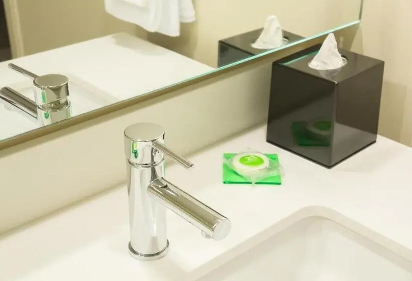 身障者適用スタンダードルーム, Hyatt Place Orlando/lake Buena Vista