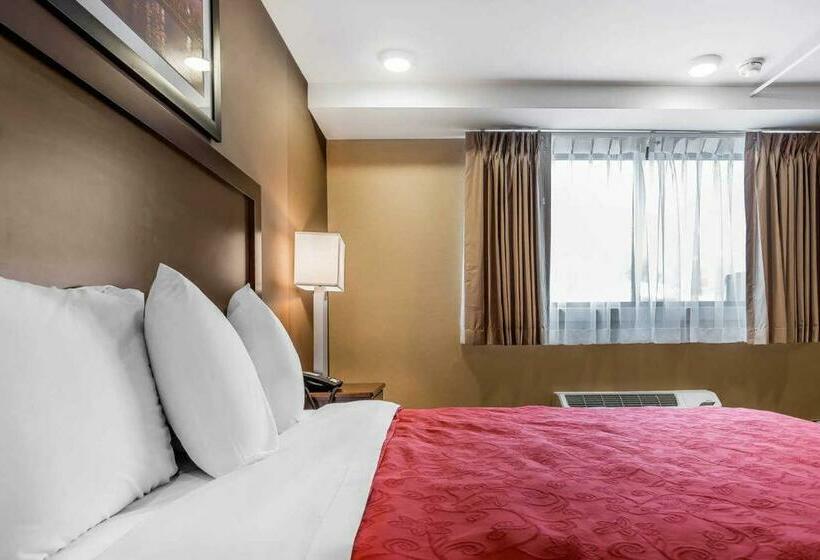 غرفة قياسية سرير كينج, Rodeway Inn Chicago/evanston