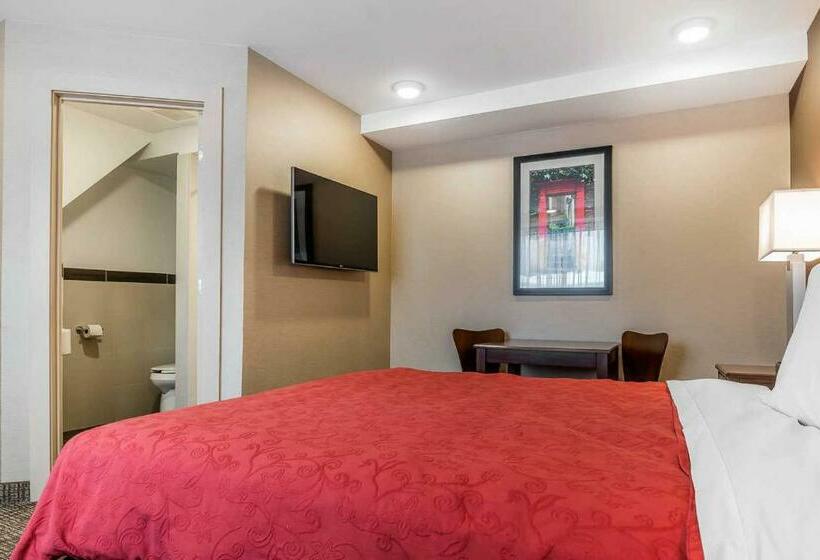 스탠다드 룸 킹사이즈 침대, Rodeway Inn Chicago/evanston