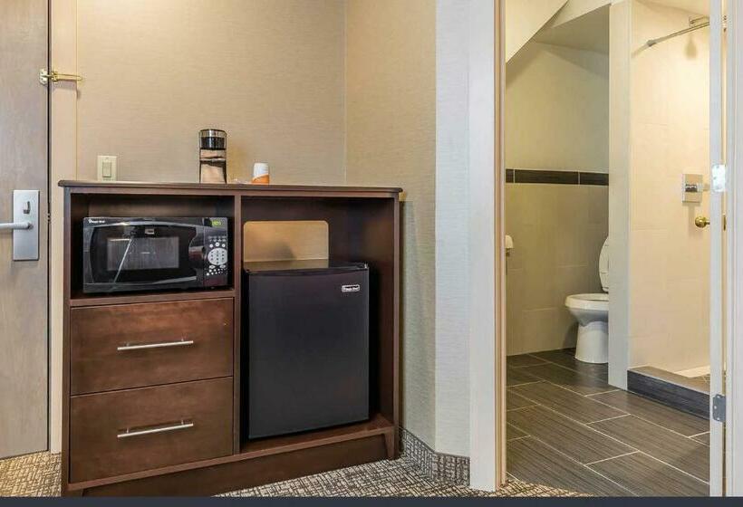 غرفة قياسية سرير كينج, Rodeway Inn Chicago/evanston