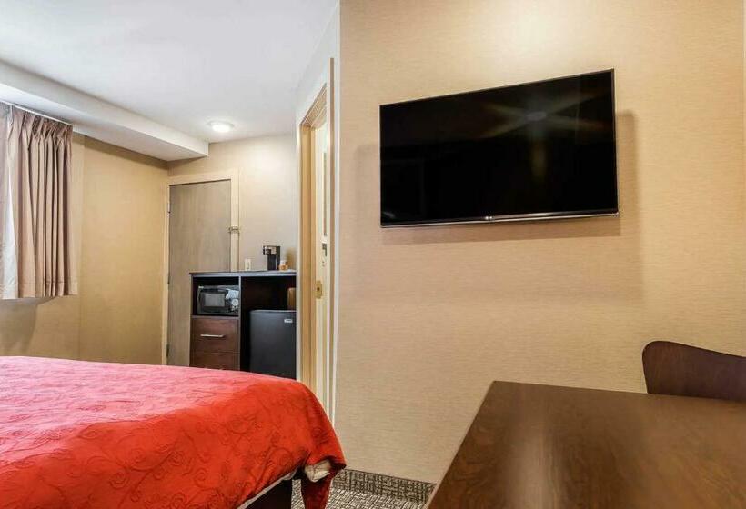 غرفة قياسية, Rodeway Inn Chicago/evanston