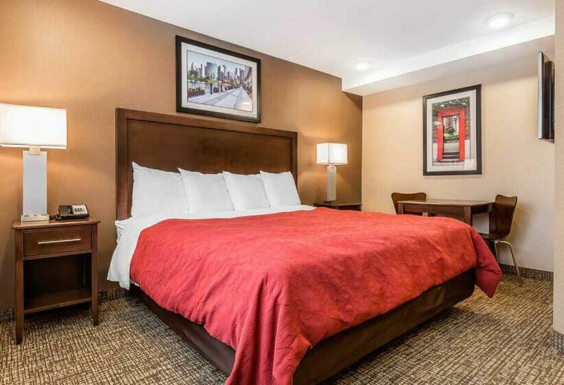 غرفة قياسية سرير كينج, Rodeway Inn Chicago/evanston
