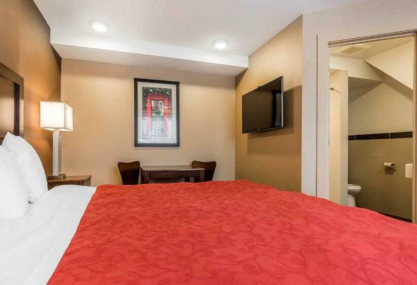 غرفة قياسية, Rodeway Inn Chicago/evanston