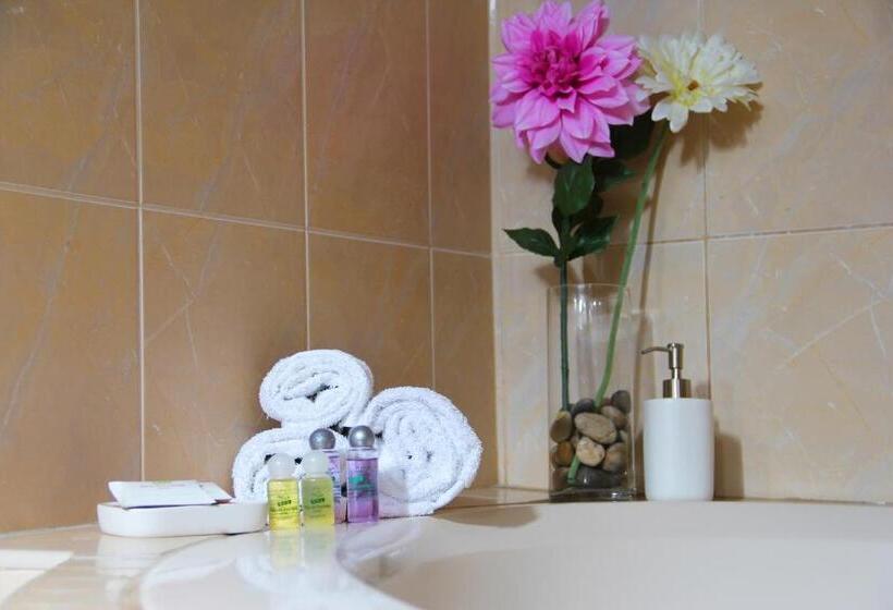 اتاق سوپریور با تخت بزرگ, Villa De Valverde