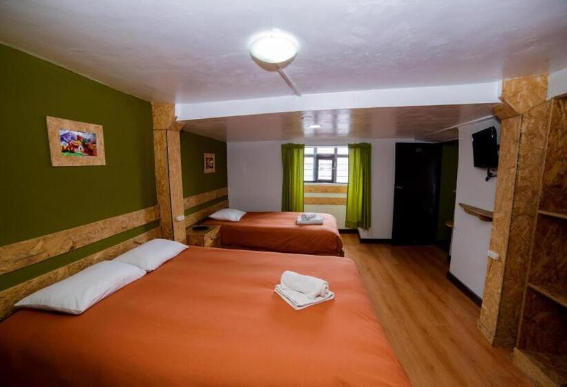 Standart Oda, Ukukus Hostel