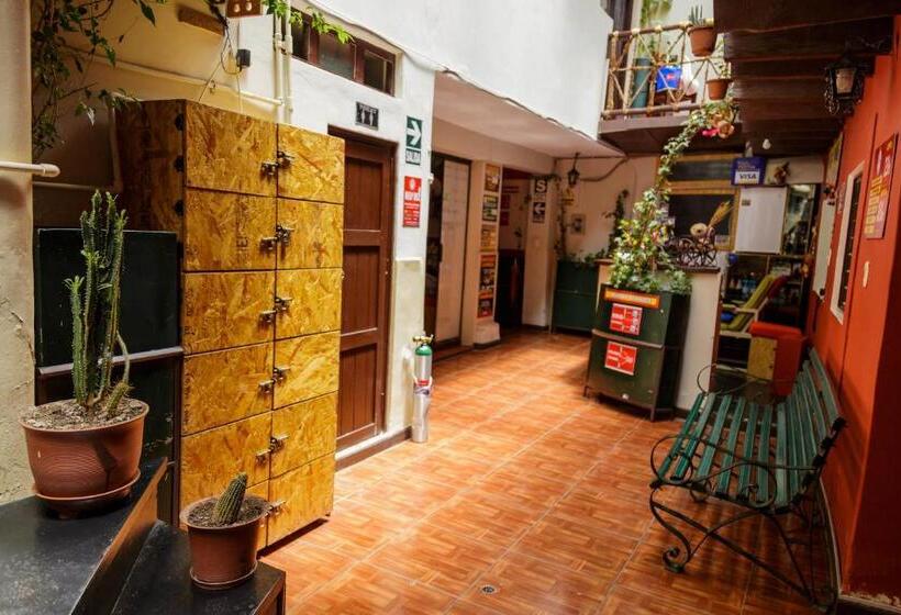 Üç Kişilik Standart Oda, Ukukus Hostel