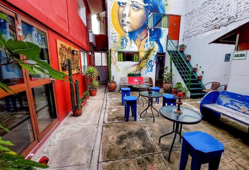 Standart Oda, Ukukus Hostel