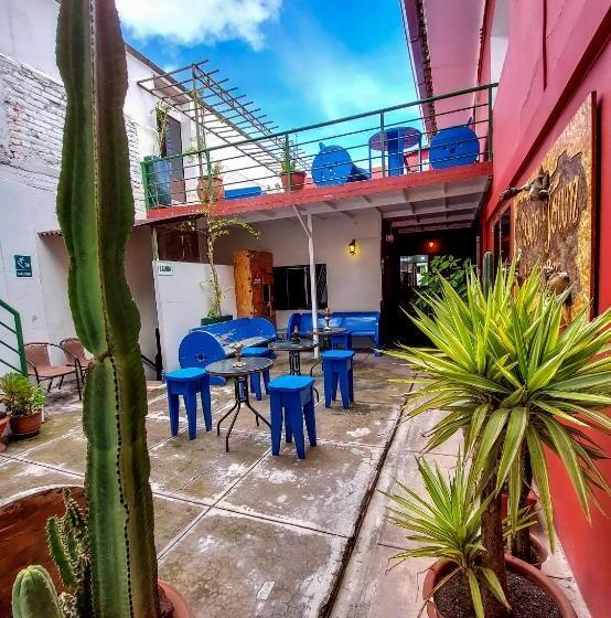 Üç Kişilik Standart Oda, Ukukus Hostel