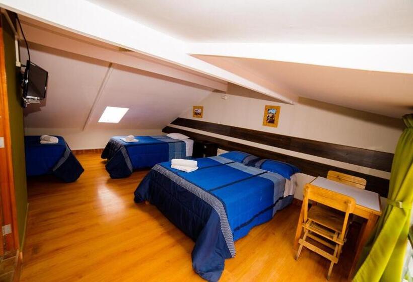 Standart Oda, Ukukus Hostel