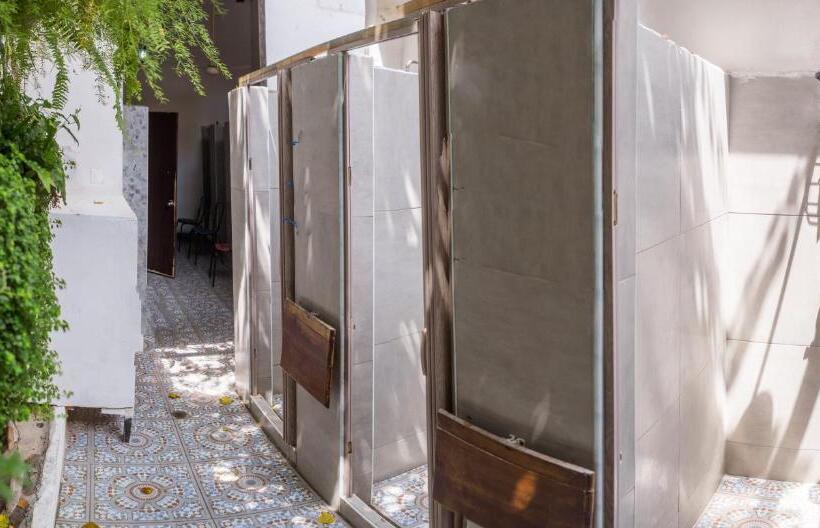 חדר סופריור לארבעה, Aroha Villana Hostel