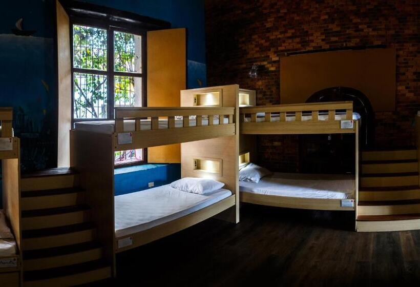 מיטה בחדר משותף, Aroha Villana Hostel