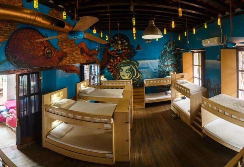 מיטה בחדר משותף, Aroha Villana Hostel