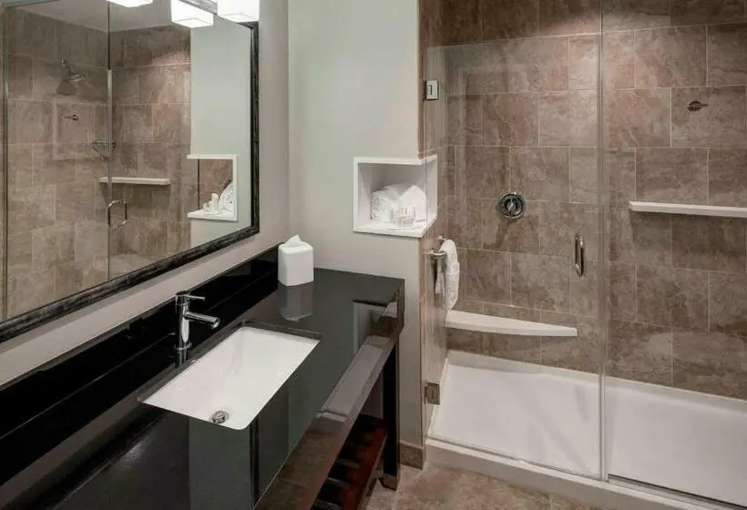 キングサイズベッドのスタンダードルーム, Courtyard By Marriott Dallas Plano/richardson