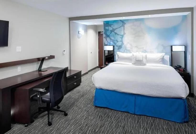 身障者適用キングサイズベッドルーム, Courtyard By Marriott Dallas Plano/richardson