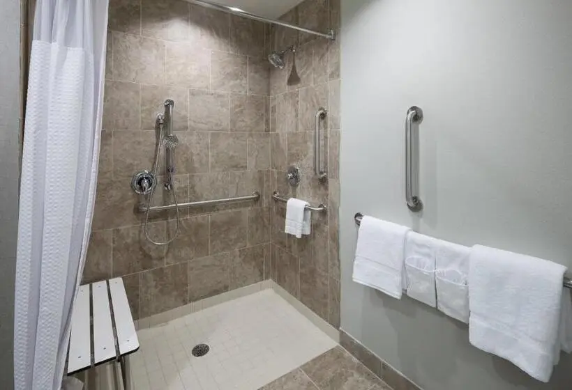 身障者適用スタンダードルーム, Courtyard By Marriott Dallas Plano/richardson