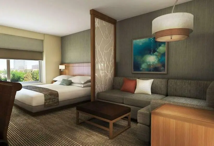 身障者適用キングサイズベッドルーム, Hyatt Place Austin Airport