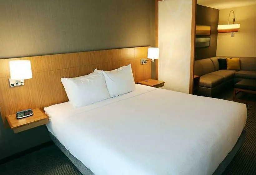身障者適用キングサイズベッドルーム, Hyatt Place Austin Airport