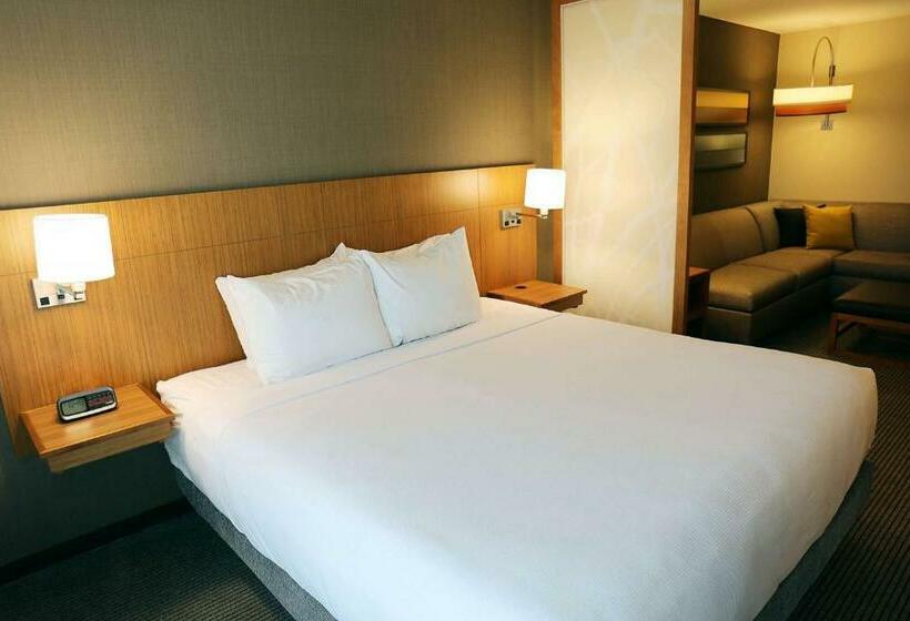 Стандартный Номер Кровать Кинг, Hyatt Place Austin Airport
