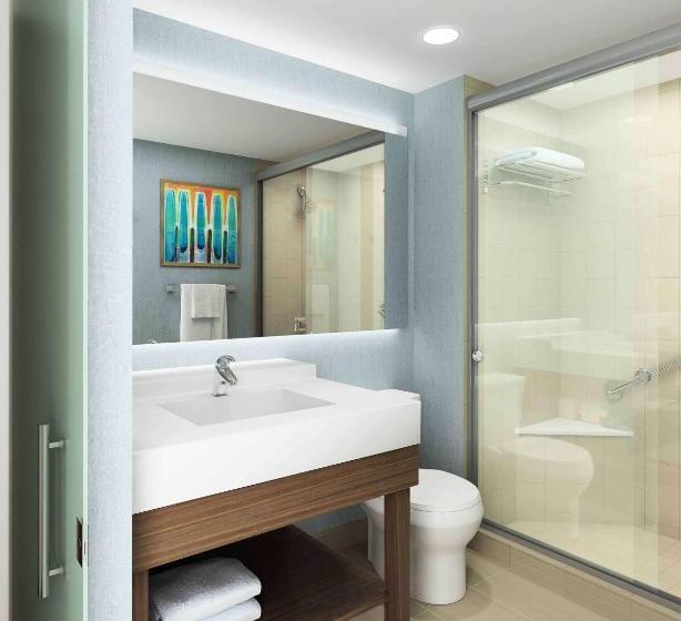 Номер Стандарт Адаптированный для Инвалидов, Hyatt Place Austin Airport