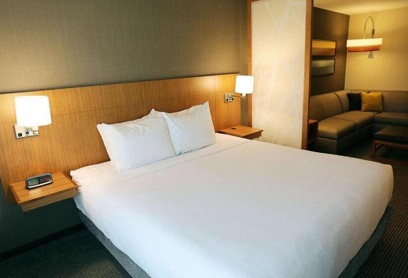 Люкс Кровать Кинг, Hyatt Place Austin Airport