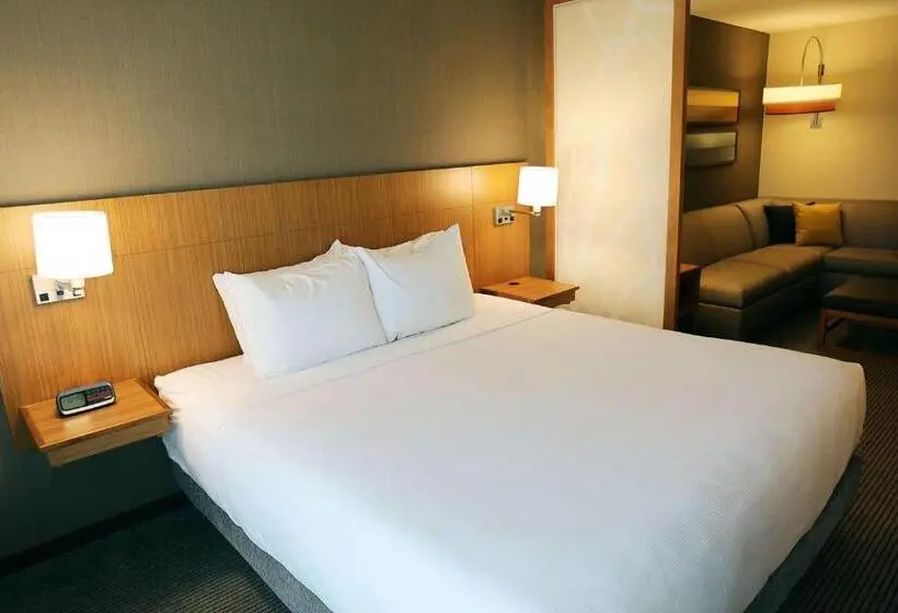 キングサイズベッドのスイートルーム, Hyatt Place Austin Airport