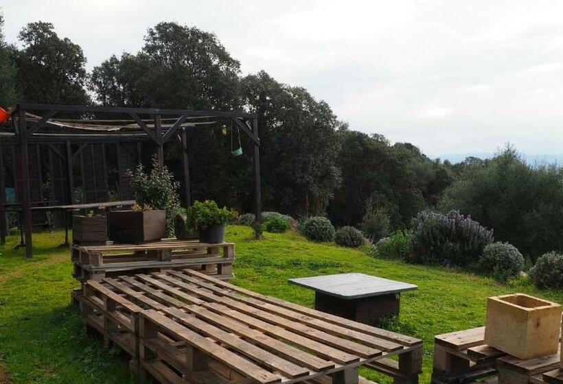 Дом 1 Спальня, La Pampa Cargese Chambres D Hotes