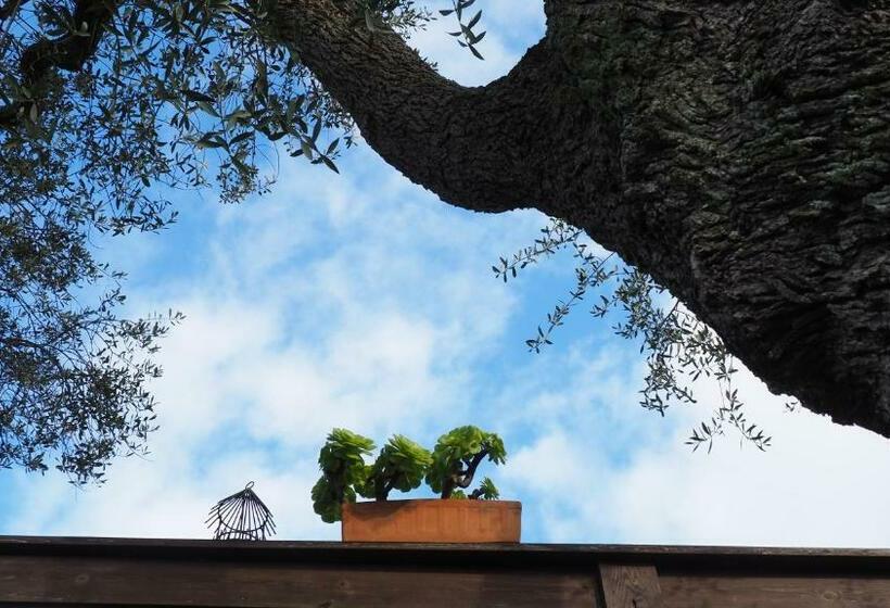 Трехместный Superior Вид на Море, La Pampa Cargese Chambres D Hotes