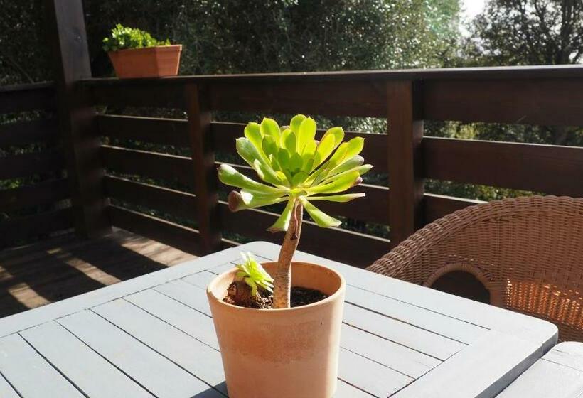 Трехместный Superior Вид на Море, La Pampa Cargese Chambres D Hotes