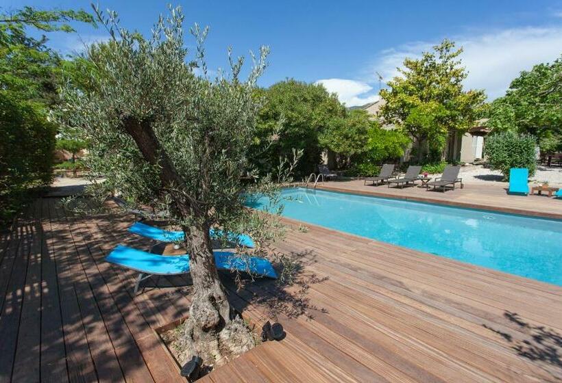 四人标准间, Le Mas De Bertagne