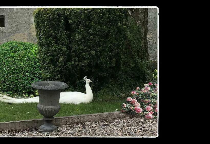 デラックスルーム, Manoir De Livet