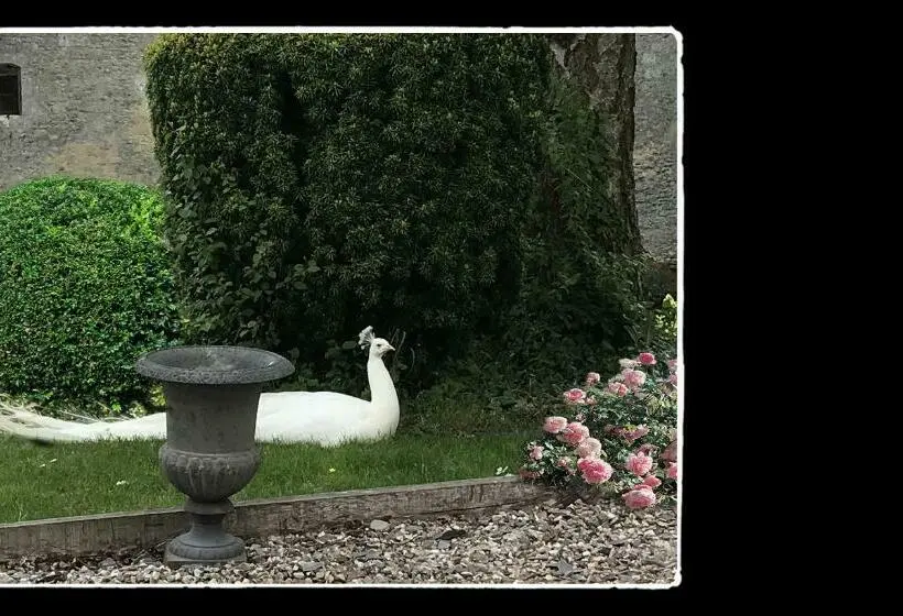 Deluxe-huone, Manoir De Livet