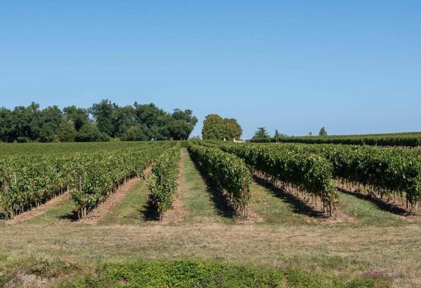 标准间, L Ilot Vignes