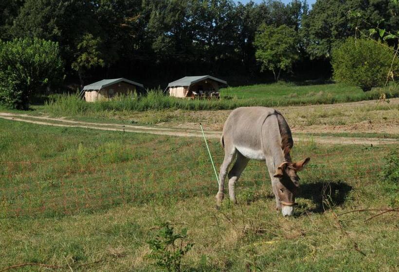 كوخ قياسي, Les ânes De Forcalquier