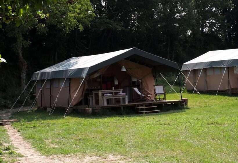 كوخ قياسي, Les ânes De Forcalquier