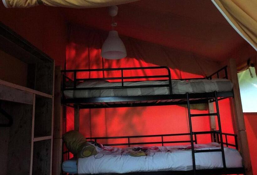 كوخ قياسي, Les ânes De Forcalquier