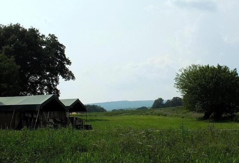 كوخ قياسي, Les ânes De Forcalquier