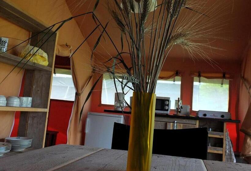 كوخ قياسي, Les ânes De Forcalquier