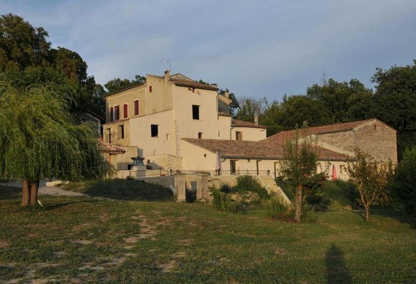 غرفة قياسية, Les ânes De Forcalquier