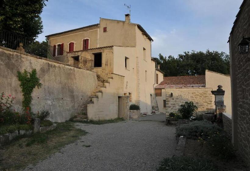 غرفة قياسية, Les ânes De Forcalquier