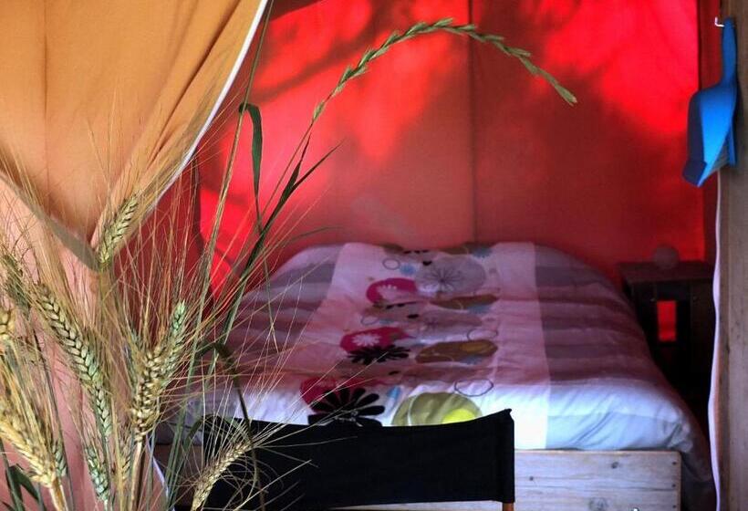 كوخ قياسي, Les ânes De Forcalquier