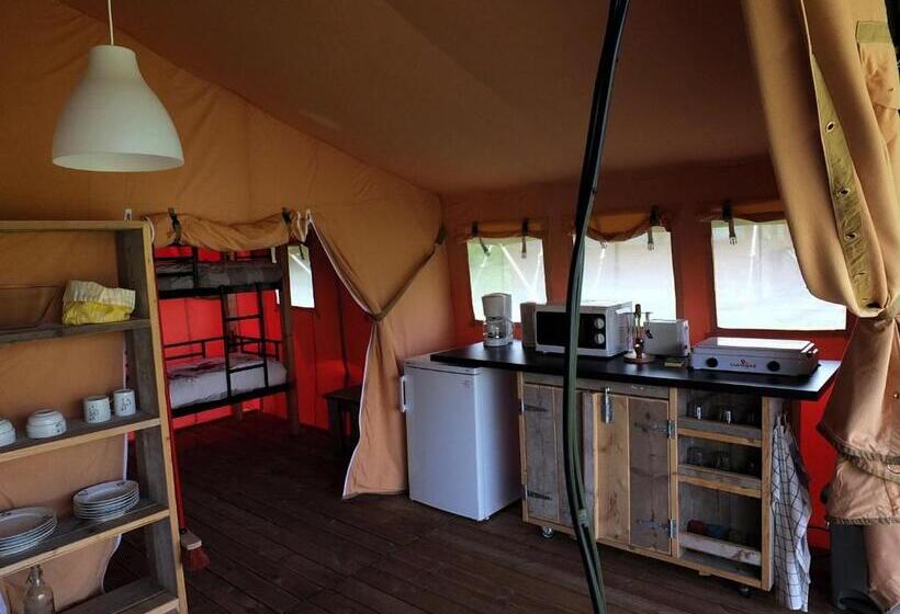 Standard Tent, Les ânes De Forcalquier