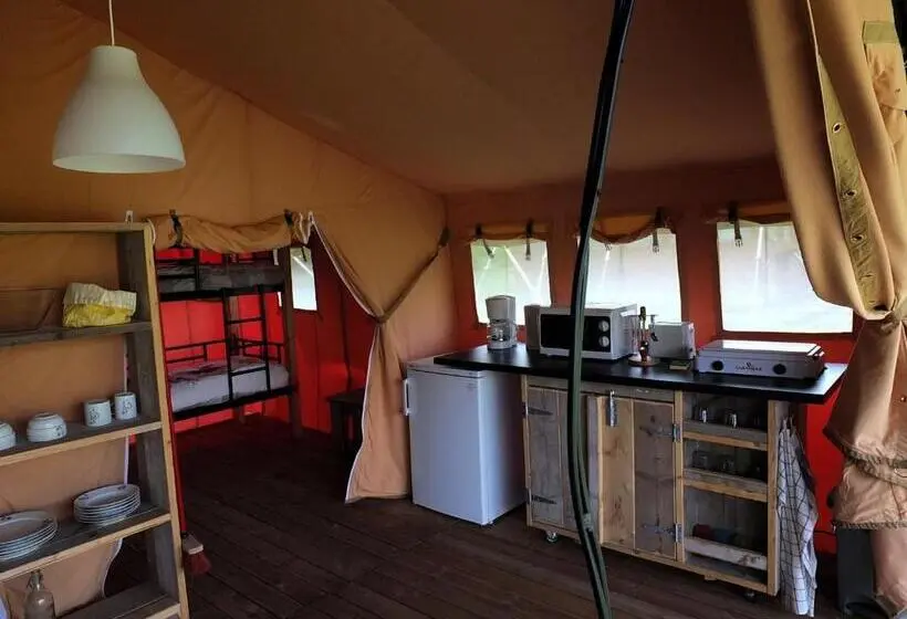 Standard Tent, Les ânes De Forcalquier
