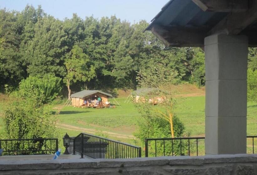 كوخ قياسي, Les ânes De Forcalquier