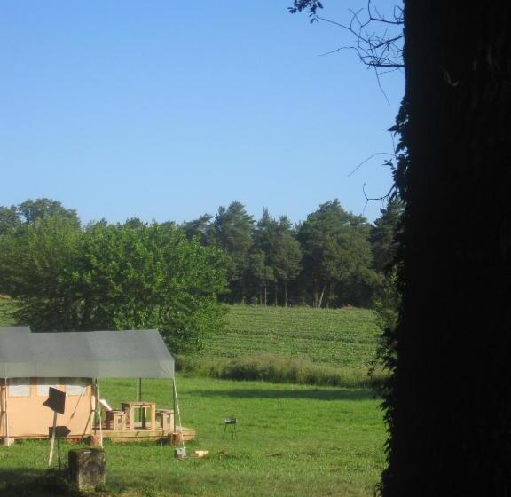 كوخ قياسي, Les ânes De Forcalquier