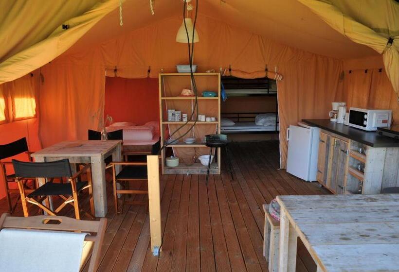 كوخ قياسي, Les ânes De Forcalquier