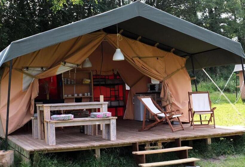Standard Tent, Les ânes De Forcalquier