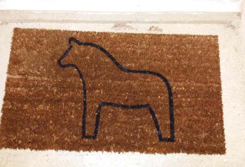 غرفة قياسية, Les ânes De Forcalquier