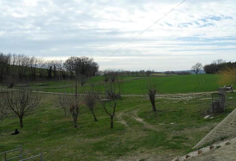 غرفة قياسية, Les ânes De Forcalquier