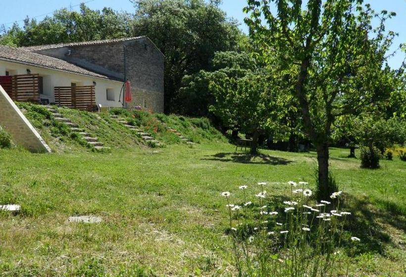 غرفة قياسية, Les ânes De Forcalquier